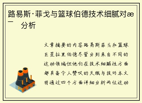 路易斯·菲戈与篮球伯德技术细腻对比分析