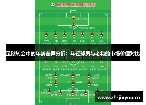 足球转会中的年龄差异分析：年轻球员与老将的市场价值对比