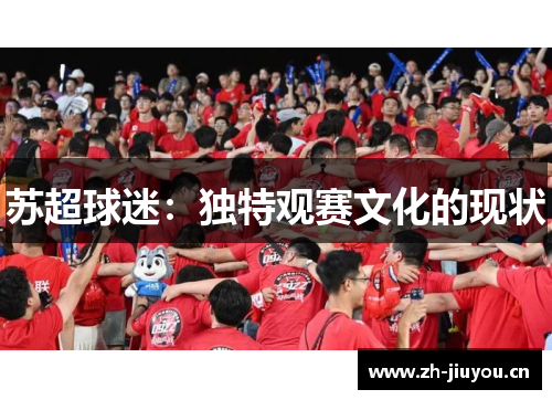 苏超球迷：独特观赛文化的现状